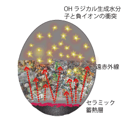 ����F����